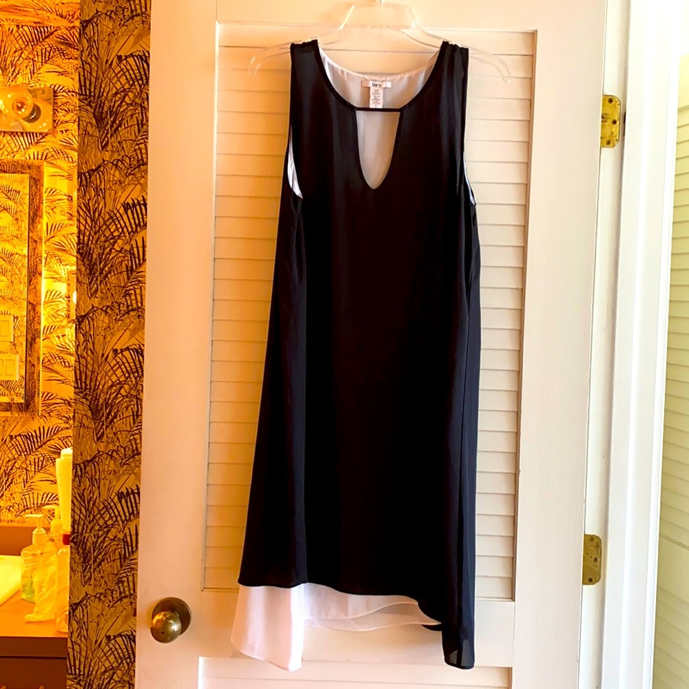 Bar III Black and White Dress